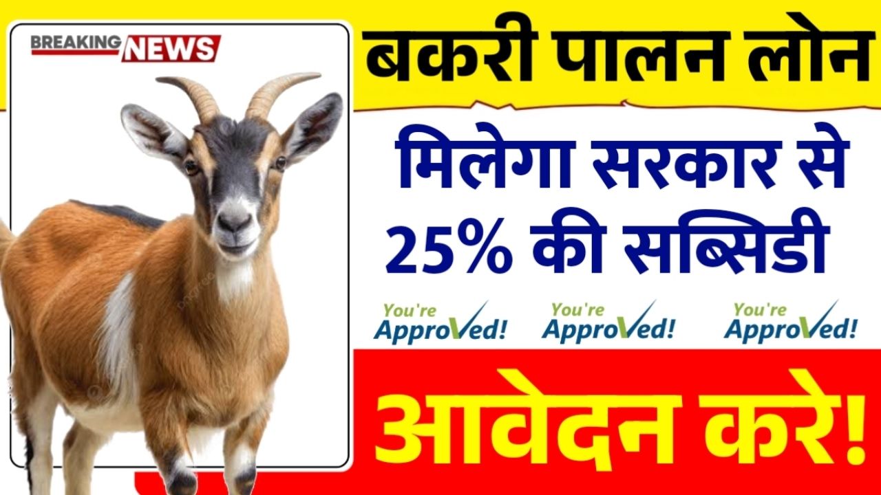Bakri Palan Business Loan Yojana 2025